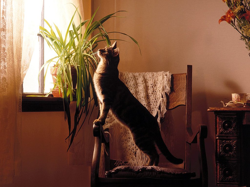 Wishing You Were Here